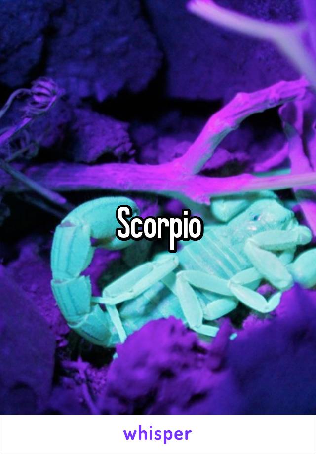 Scorpio