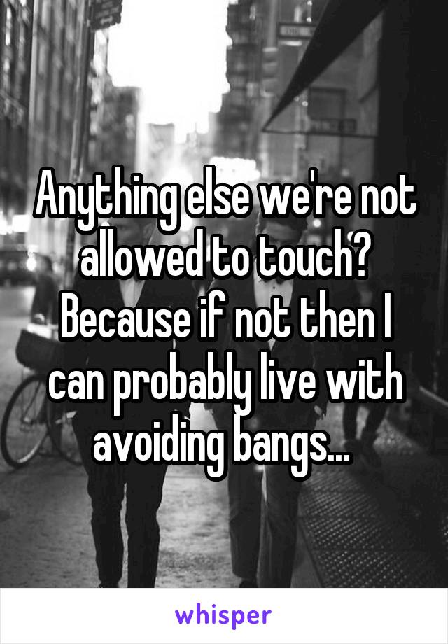 Anything else we're not allowed to touch? Because if not then I can probably live with avoiding bangs... 