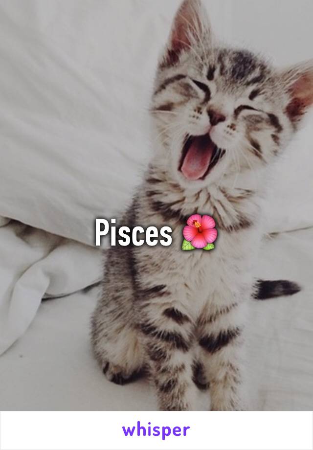 Pisces 🌺