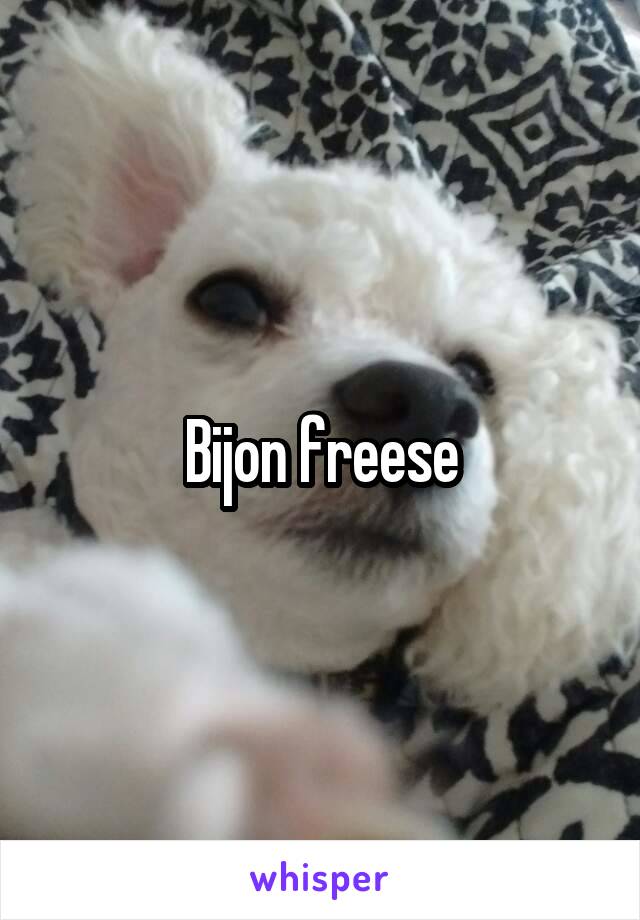 Bijon freese