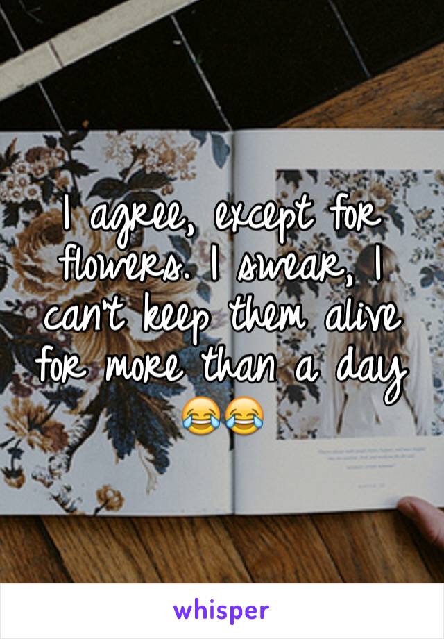 I agree, except for flowers. I swear, I can't keep them alive for more than a day 😂😂