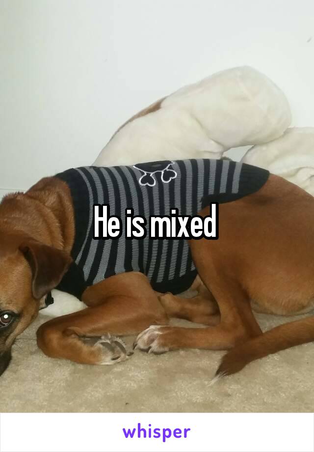 He is mixed 