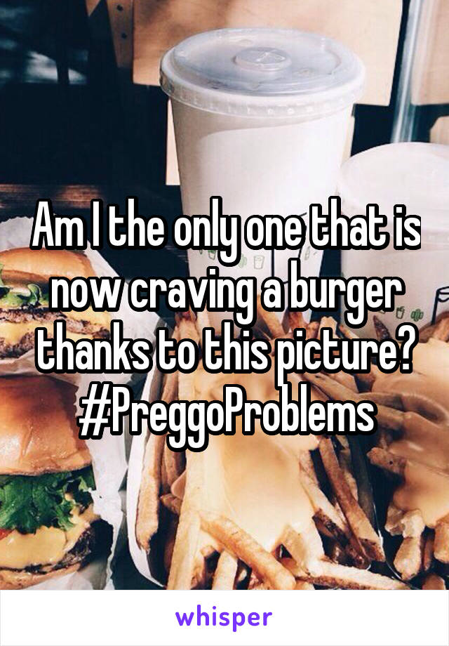 Am I the only one that is now craving a burger thanks to this picture? #PreggoProblems
