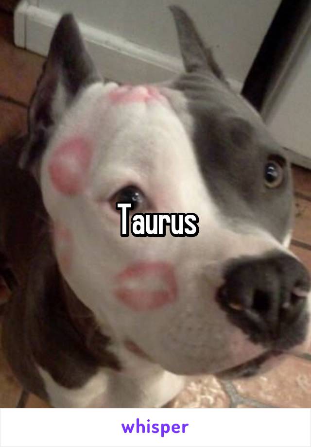 Taurus