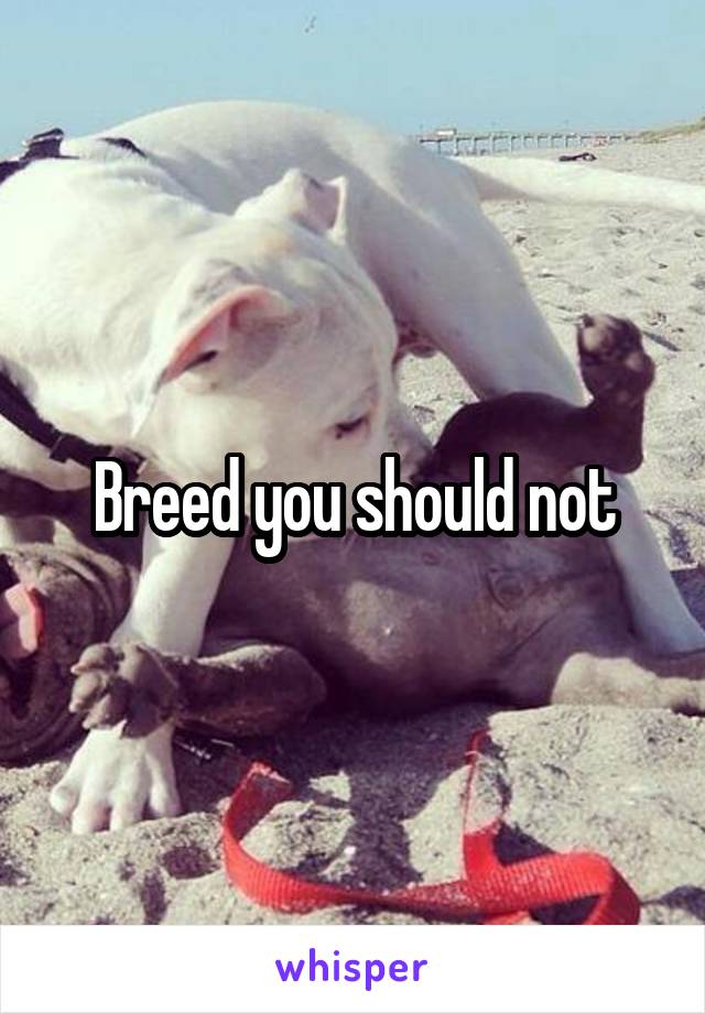 Breed you should not