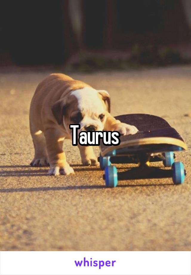 Taurus 