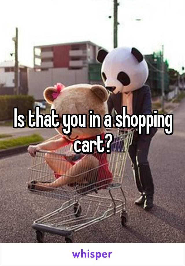 Is that you in a shopping cart?