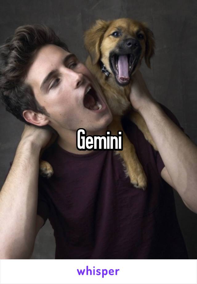 Gemini