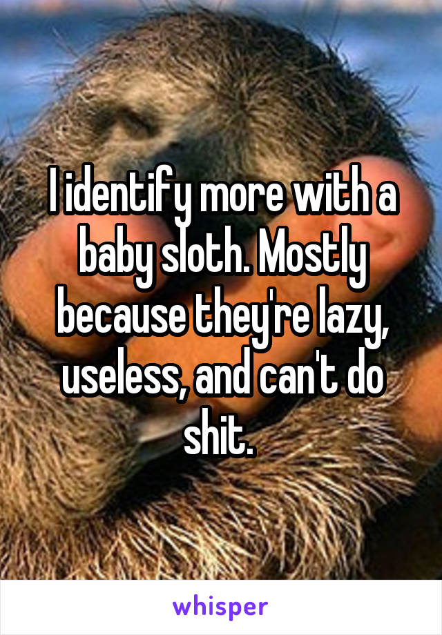 I identify more with a baby sloth. Mostly because they're lazy, useless, and can't do shit. 