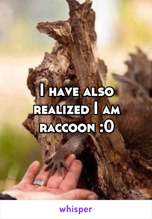 I have also realized I am raccoon :0