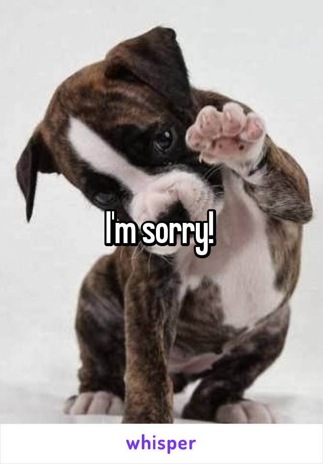 I'm sorry! 