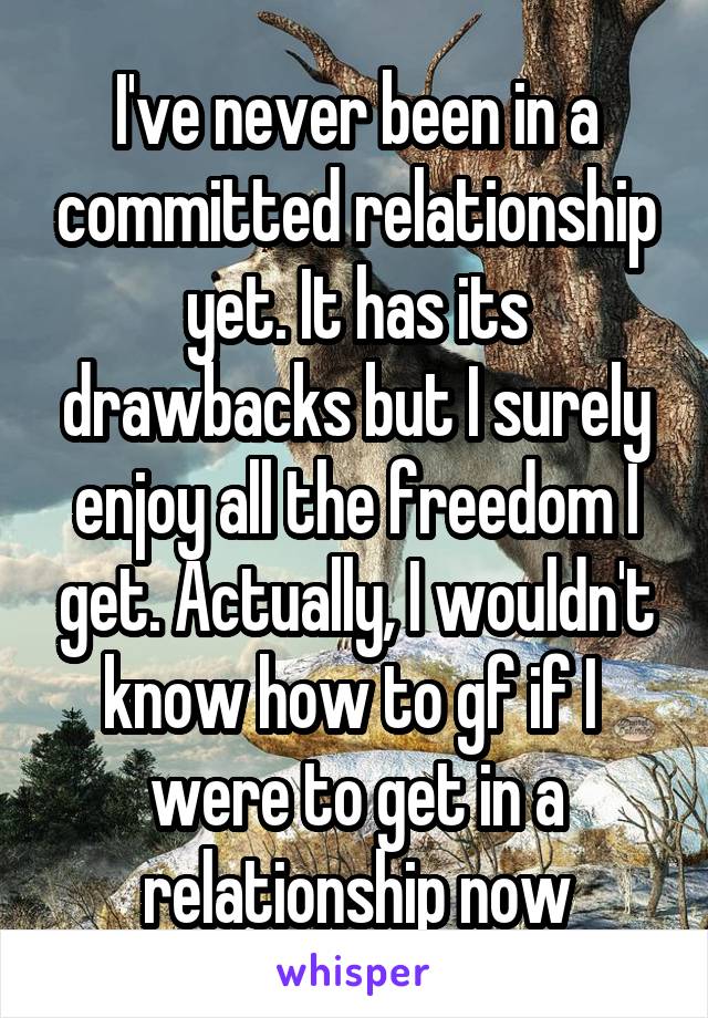 I've never been in a committed relationship yet. It has its drawbacks but I surely enjoy all the freedom I get. Actually, I wouldn't know how to gf if I 
were to get in a relationship now