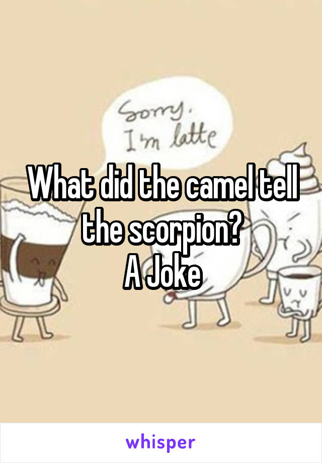 What did the camel tell the scorpion?
A Joke
