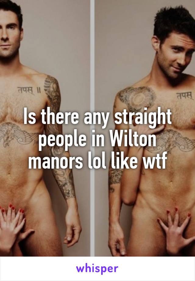 Is there any straight people in Wilton manors lol like wtf
