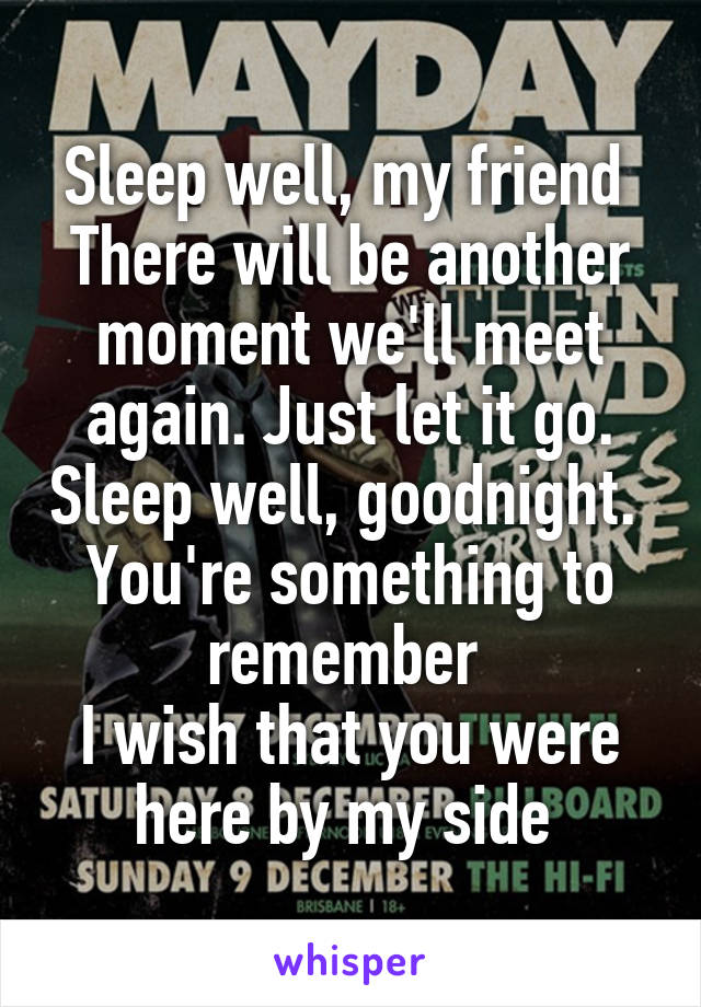 Sleep well, my friend 
There will be another moment we'll meet again. Just let it go. Sleep well, goodnight. 
You're something to remember 
I wish that you were here by my side 