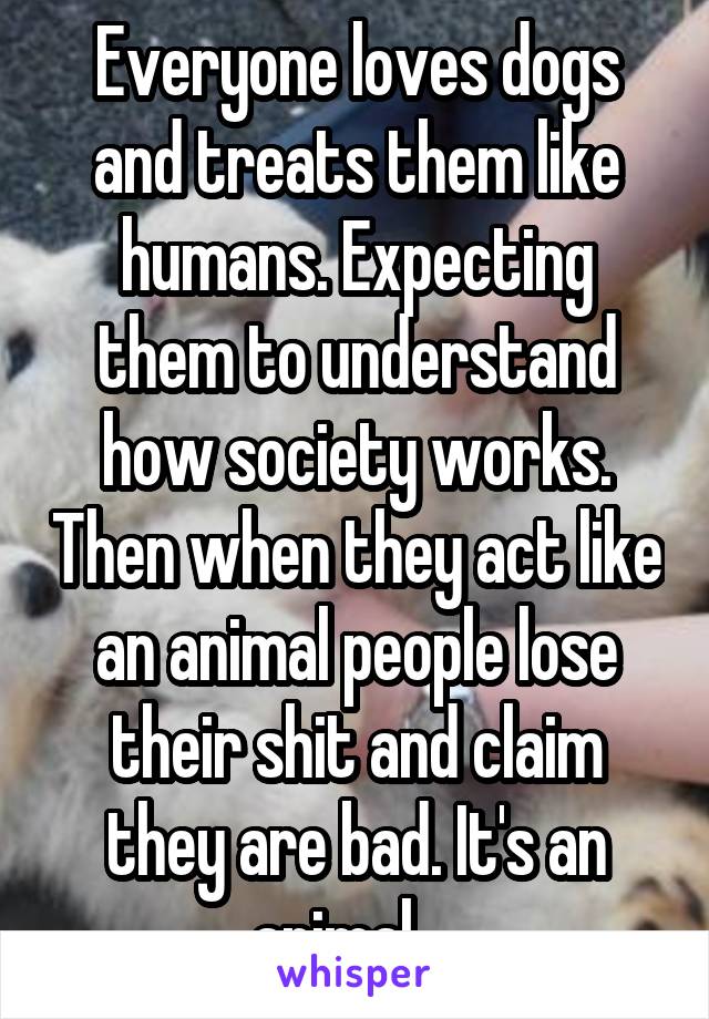 Everyone loves dogs and treats them like humans. Expecting them to understand how society works. Then when they act like an animal people lose their shit and claim they are bad. It's an animal... 