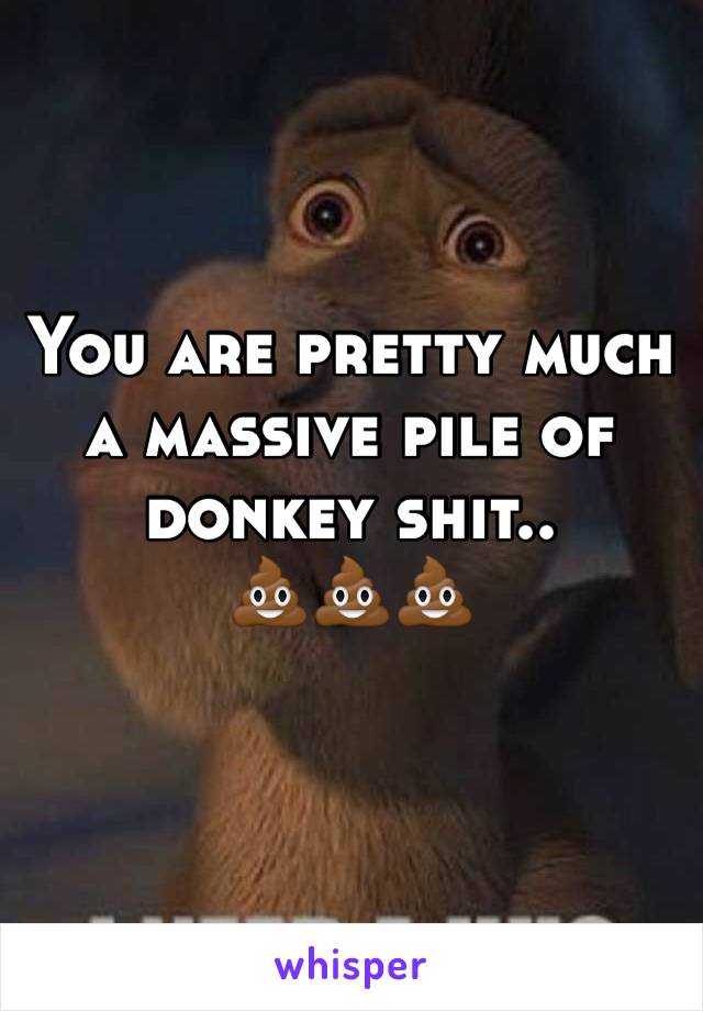 You are pretty much a massive pile of donkey shit..
💩💩💩