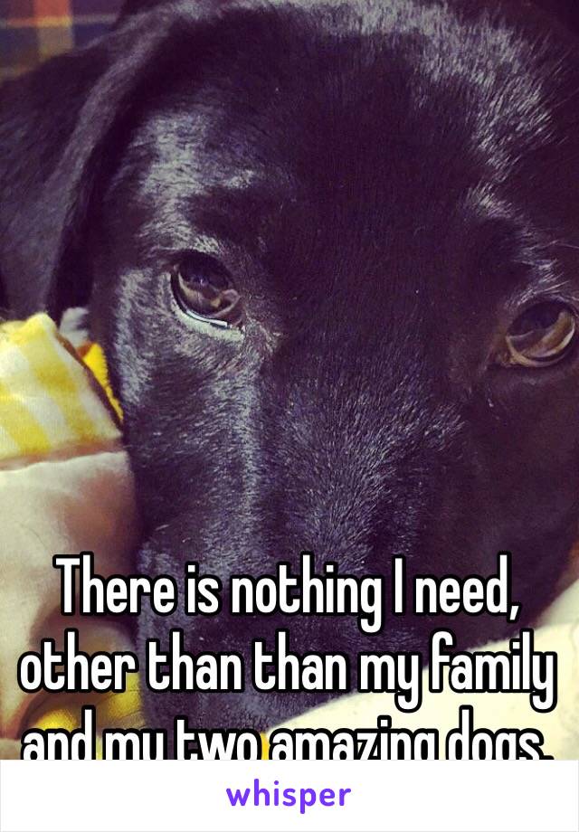 There is nothing I need, other than than my family and my two amazing dogs. 