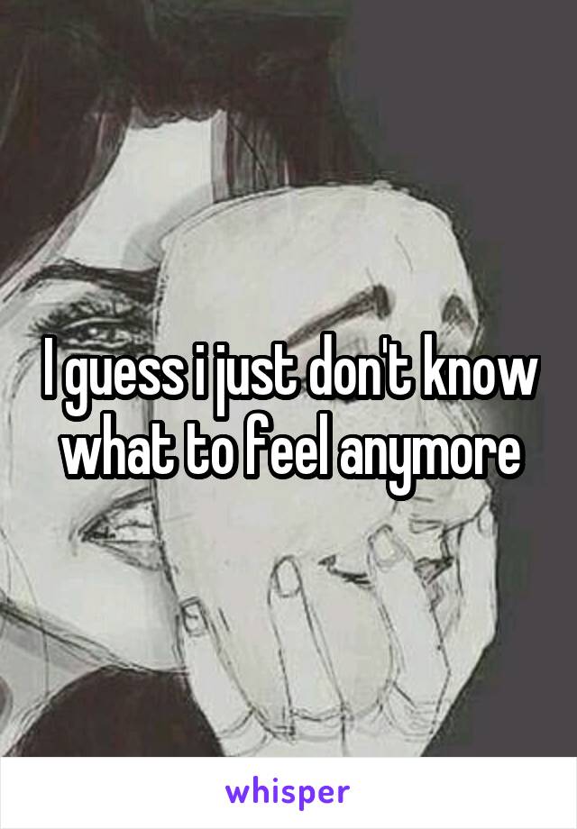 I guess i just don't know what to feel anymore