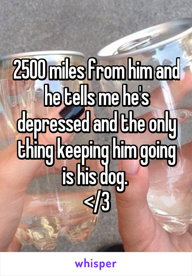 2500 miles from him and he tells me he's depressed and the only thing keeping him going is his dog. 
</3