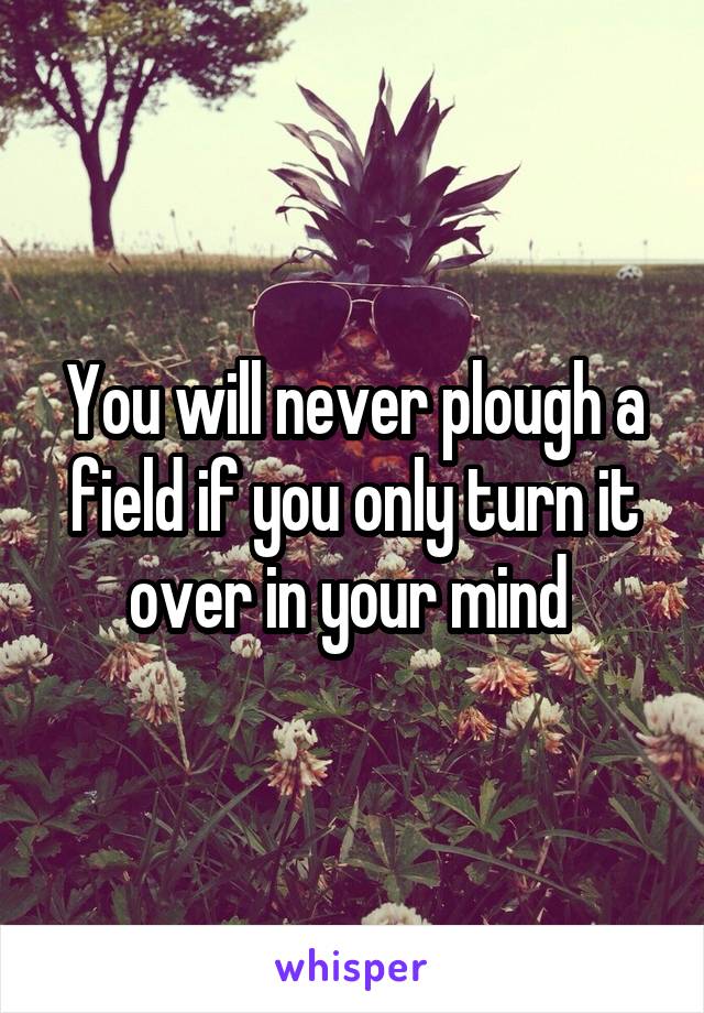 You will never plough a field if you only turn it over in your mind 