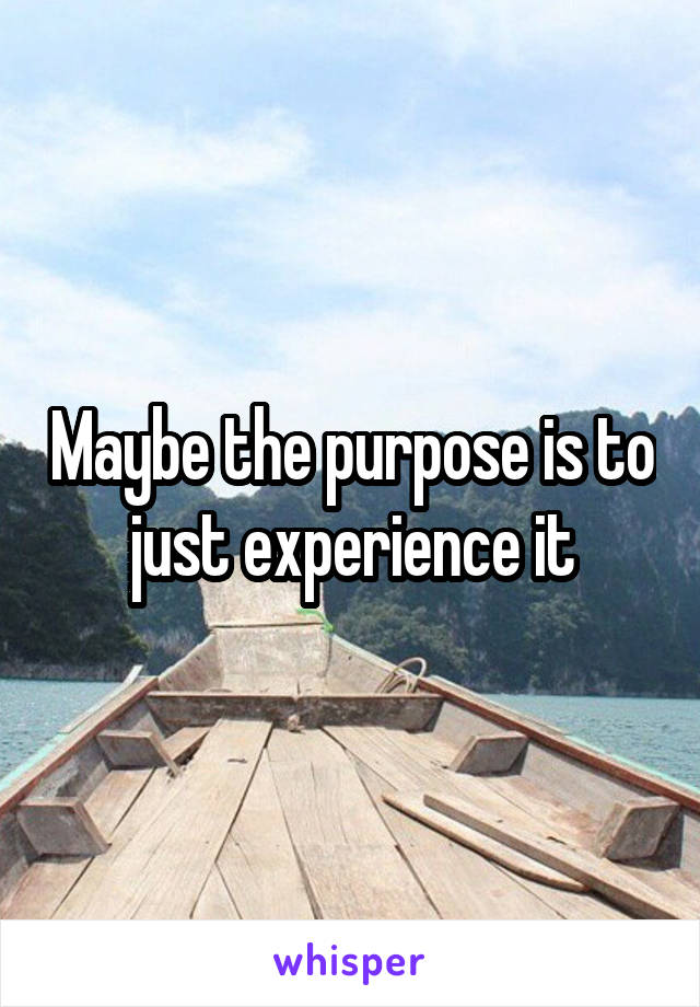 Maybe the purpose is to just experience it