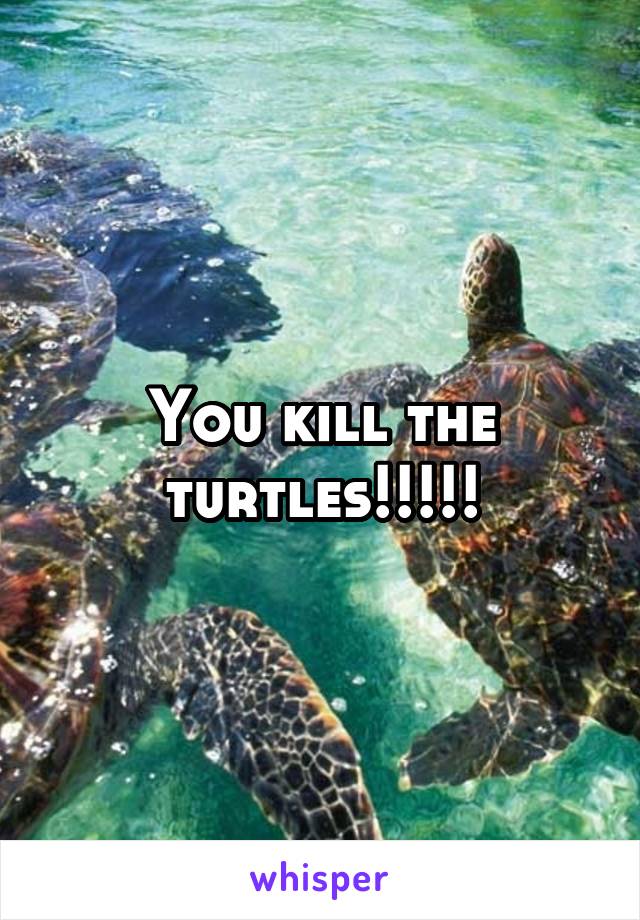 You kill the turtles!!!!!