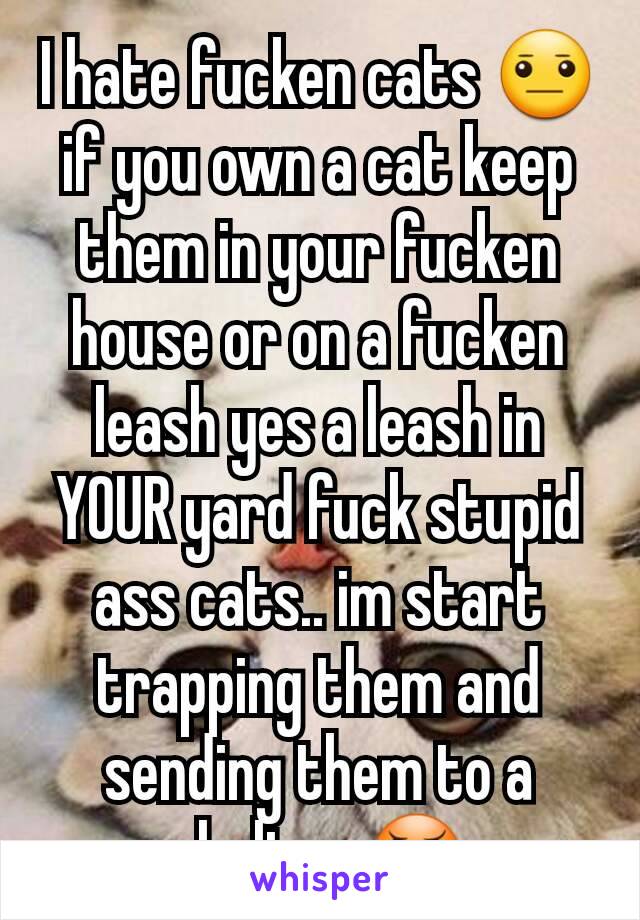 I hate fucken cats 😐 if you own a cat keep them in your fucken house or on a fucken leash yes a leash in YOUR yard fuck stupid ass cats.. im start trapping them and sending them to a shelter 😠