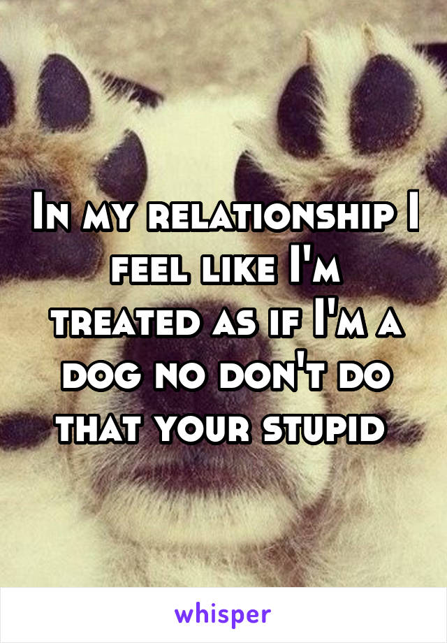 In my relationship I feel like I'm treated as if I'm a dog no don't do that your stupid 