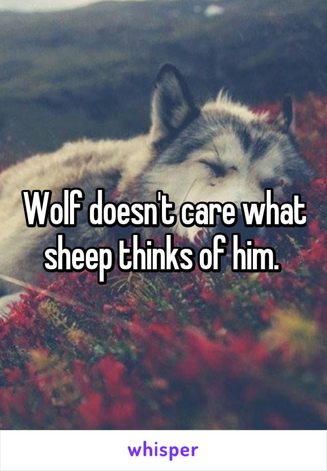 Wolf doesn't care what sheep thinks of him. 