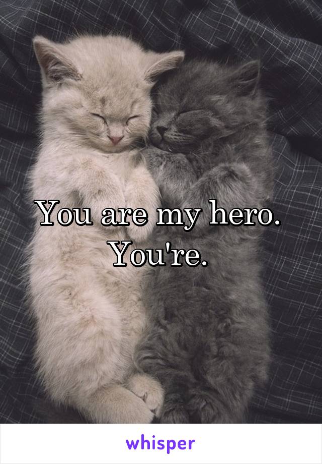 You are my hero. 
You're. 