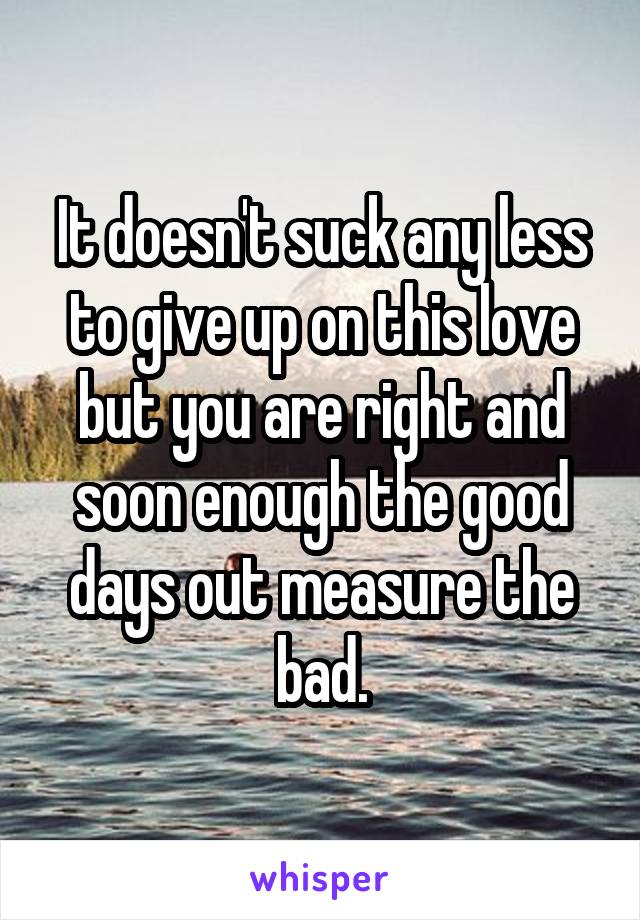 It doesn't suck any less to give up on this love but you are right and soon enough the good days out measure the bad.