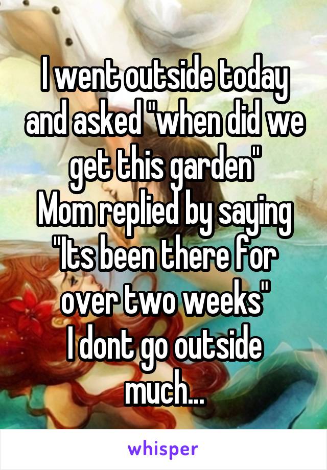 I went outside today and asked "when did we get this garden"
Mom replied by saying
"Its been there for over two weeks"
I dont go outside much...