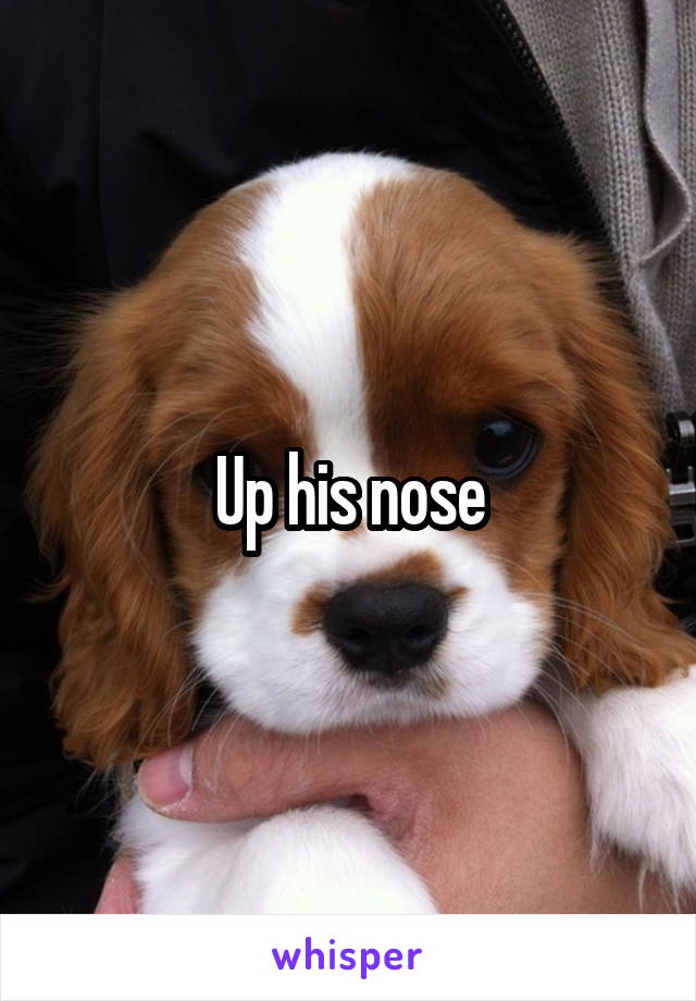 Up his nose