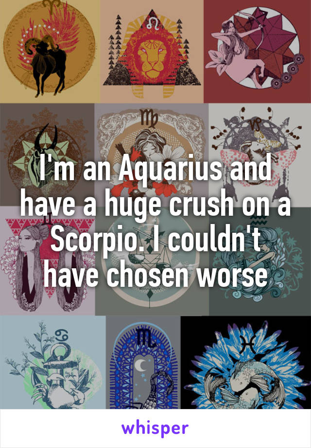 I'm an Aquarius and have a huge crush on a Scorpio. I couldn't have chosen worse