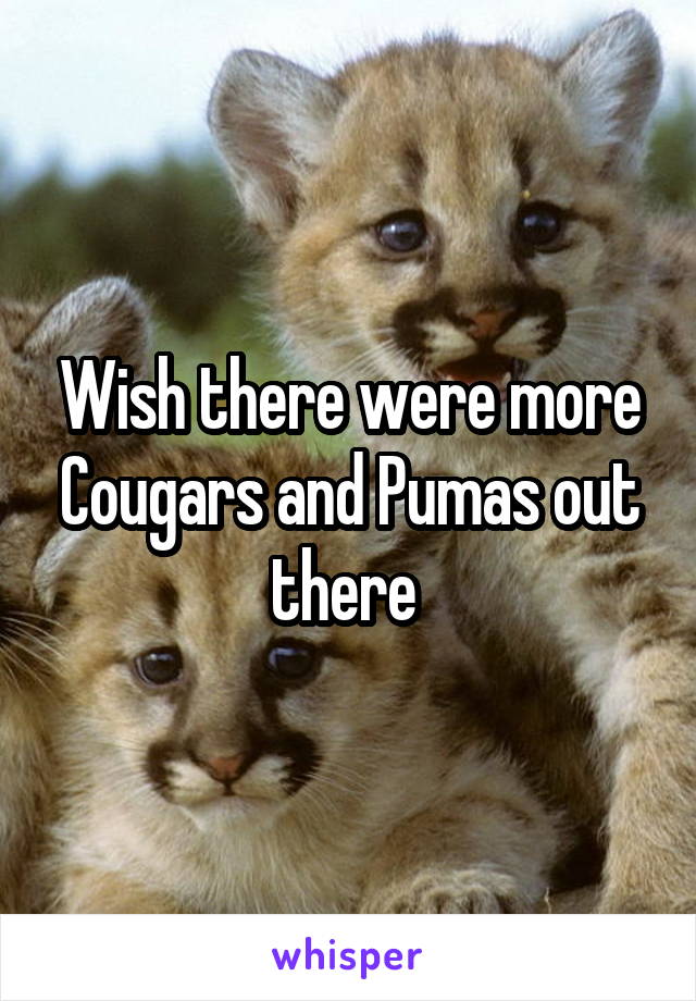 Wish there were more Cougars and Pumas out there 