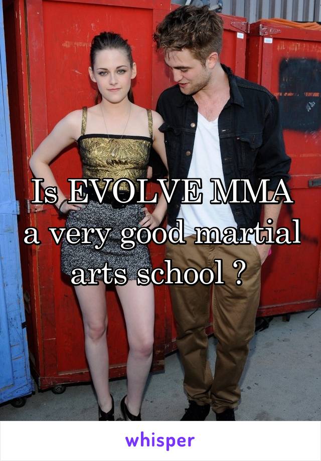 Is EVOLVE MMA a very good martial arts school ? 