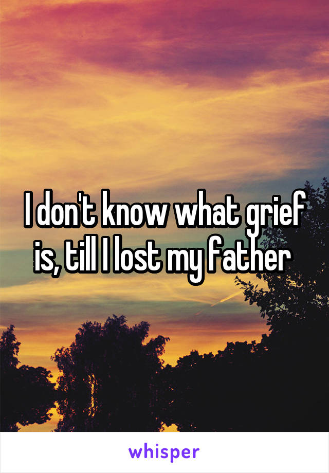 I don't know what grief is, till I lost my father 