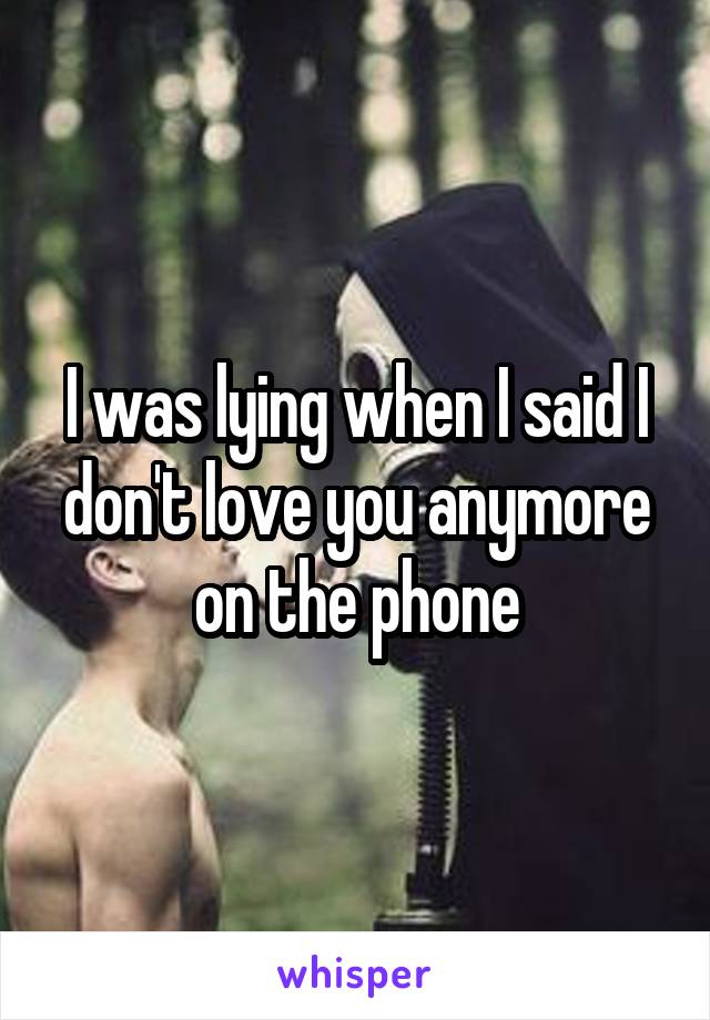 I was lying when I said I don't love you anymore on the phone