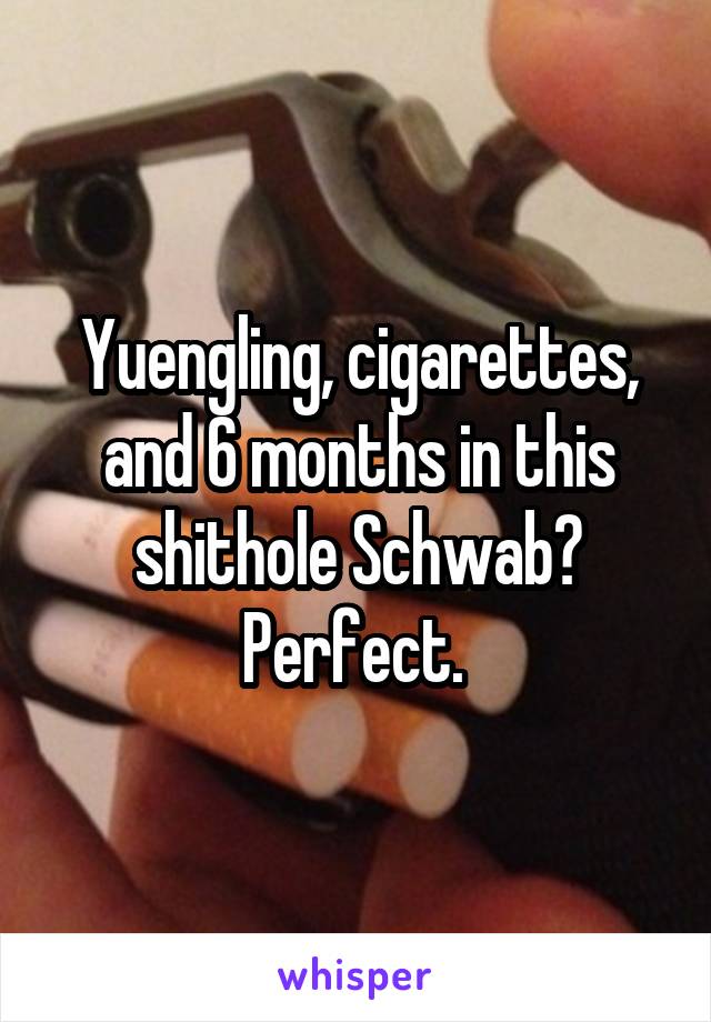 Yuengling, cigarettes, and 6 months in this shithole Schwab? Perfect. 