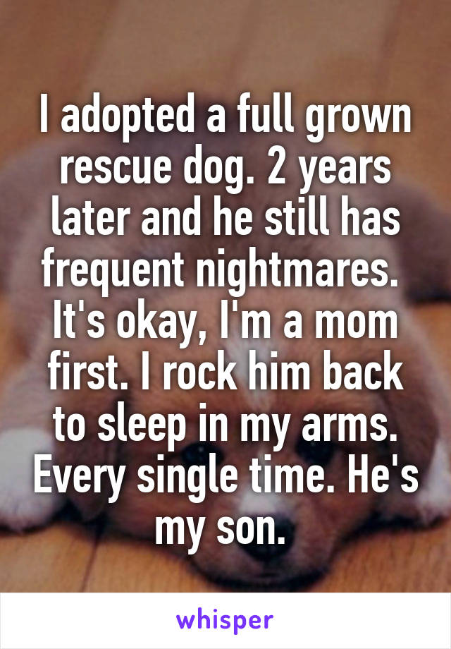 I adopted a full grown rescue dog. 2 years later and he still has frequent nightmares.  It's okay, I'm a mom first. I rock him back to sleep in my arms. Every single time. He's my son. 