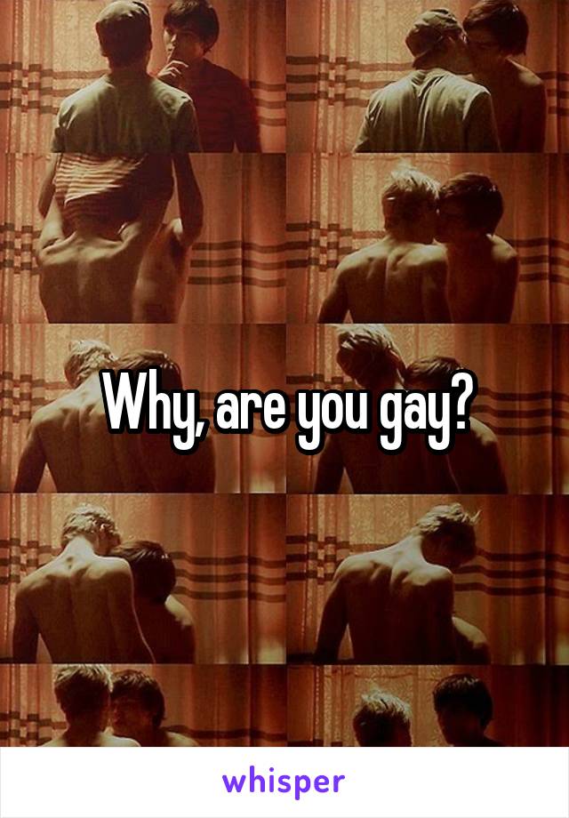 Why, are you gay?