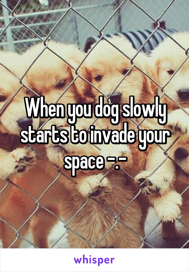 When you dog slowly starts to invade your space -.-