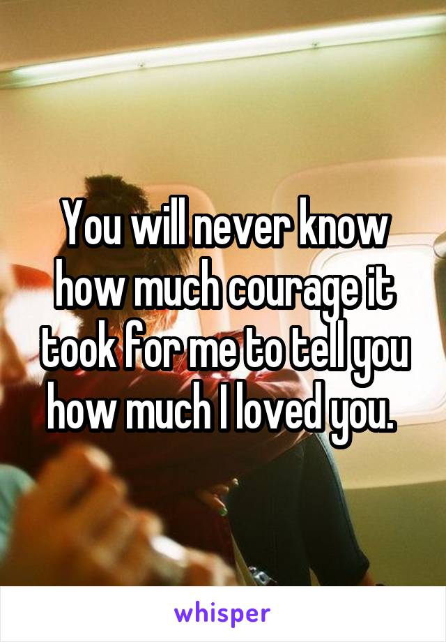 You will never know how much courage it took for me to tell you how much I loved you. 