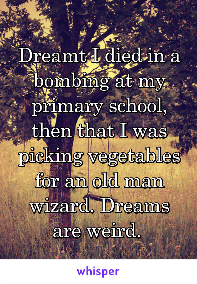 Dreamt I died in a bombing at my primary school, then that I was picking vegetables for an old man wizard. Dreams are weird. 