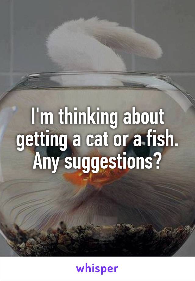 I'm thinking about getting a cat or a fish. Any suggestions?