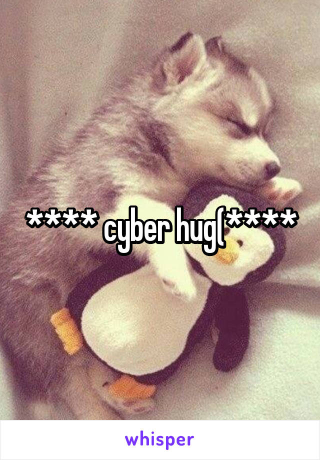 **** cyber hug(****