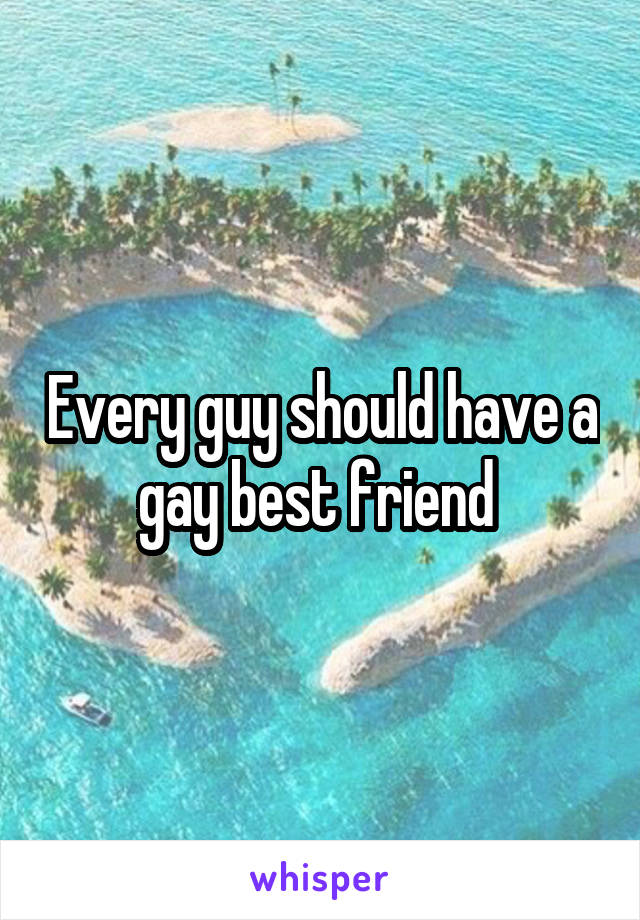 Every guy should have a gay best friend 