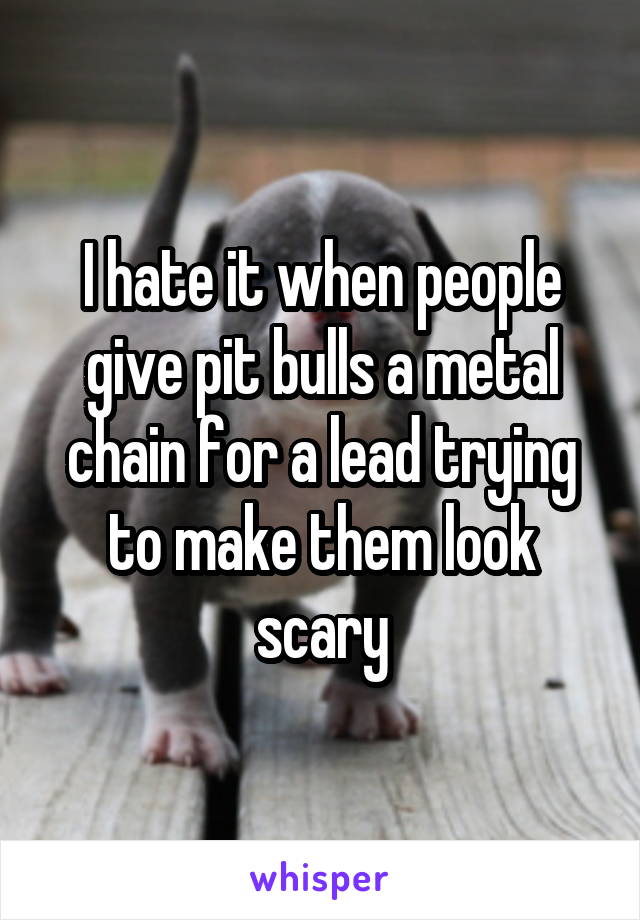 I hate it when people give pit bulls a metal chain for a lead trying to make them look scary