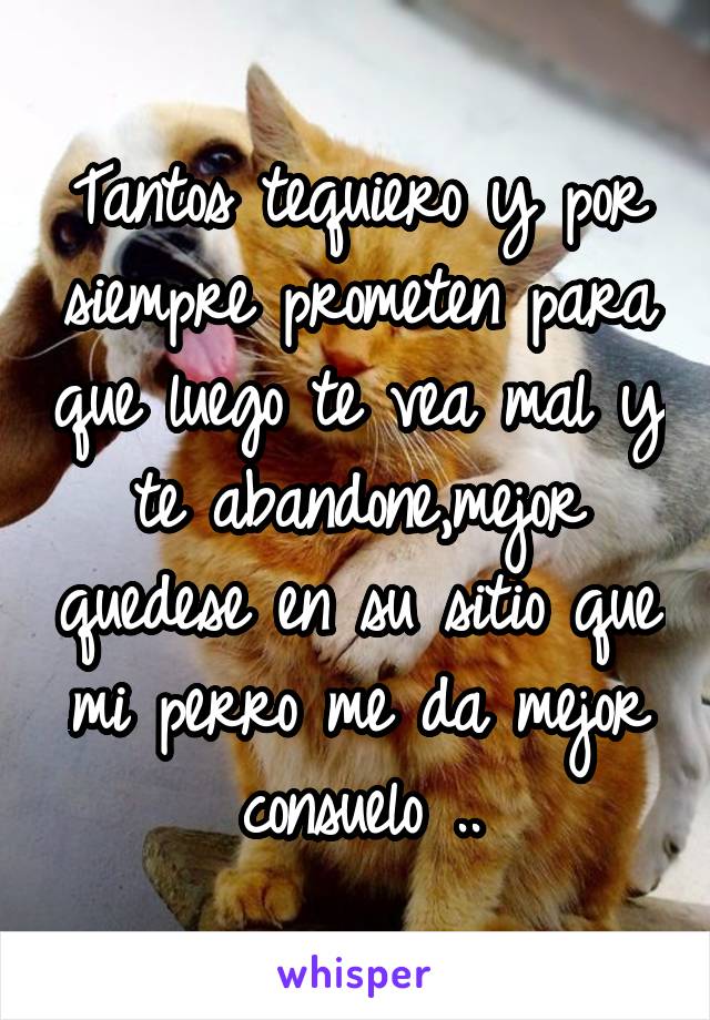 Tantos tequiero y por siempre prometen para que luego te vea mal y te abandone,mejor quedese en su sitio que mi perro me da mejor consuelo ..